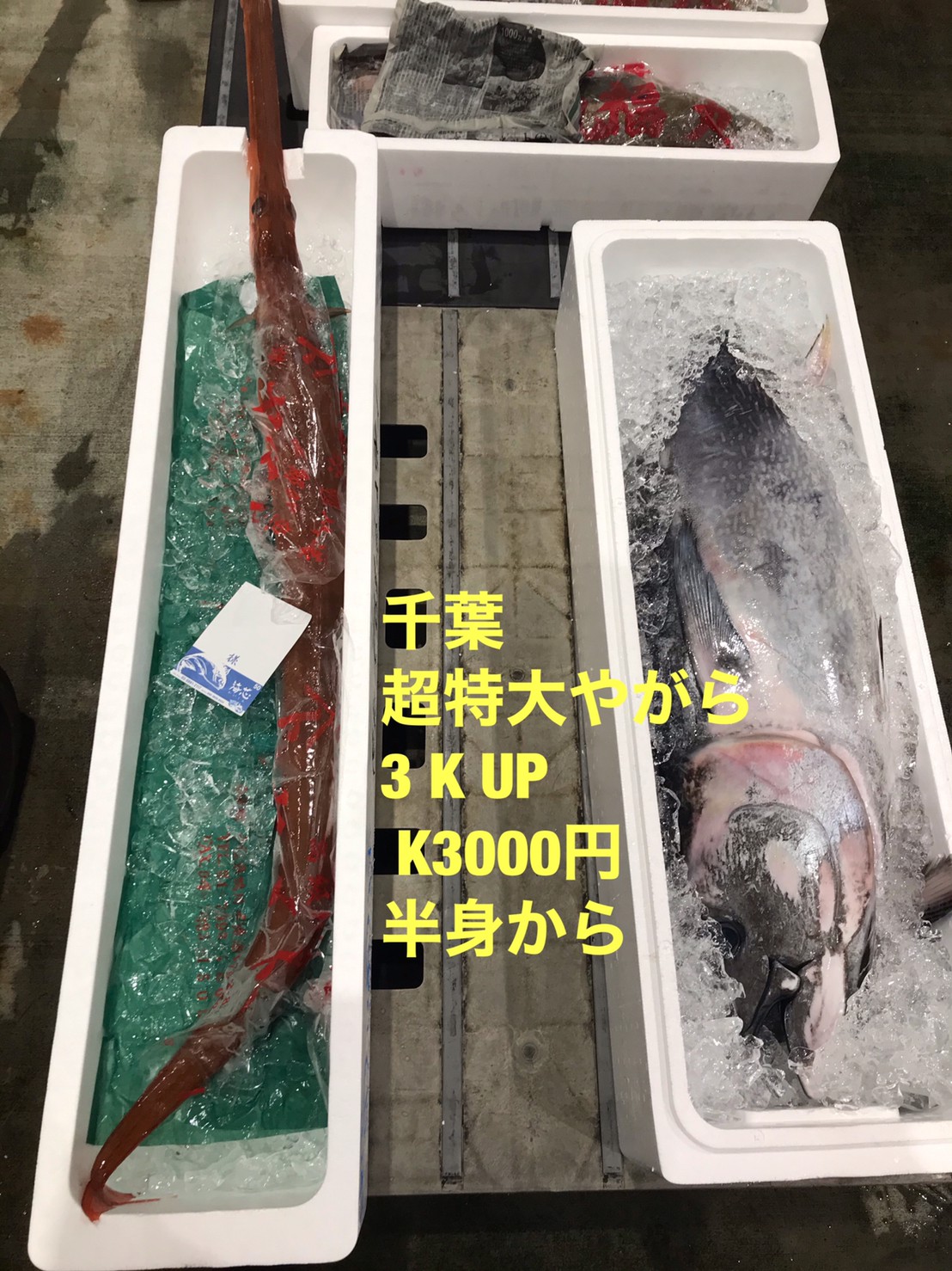 商品イメージ