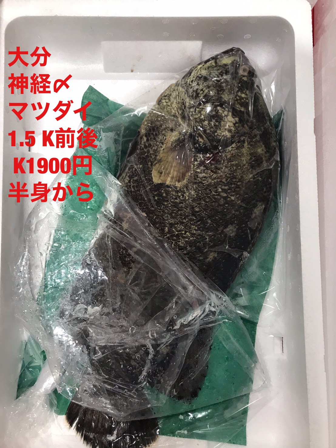 商品イメージ